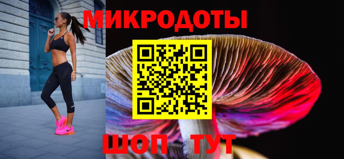 Галлюциногенные грибы Psilocybe Похвистнево