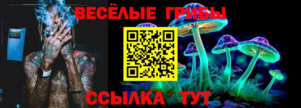 Галлюциногенные грибы GOLDEN TEACHER  Вход с VPN  Похвистнево 